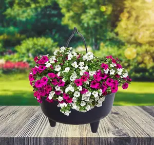 2 x Black Plastic Cauldron Planter Flower Basket With Handle Small Round Pot 26cm