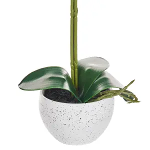 Beliani Retro Artificial Plant ORCHID White