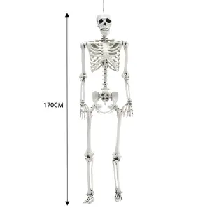 Halloween Realistic Full Body Skeleton Hanging Prop Decoration Posable Joints 170cm