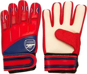 Arsenal DELTA Goalkeeper Gloves