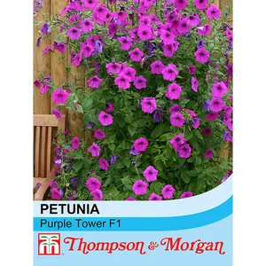 Petunia hybrida Purple Tower F1 hybrid 1 Packet (25 Seeds )