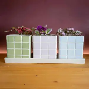 Set of 3 Cool Pastel Tile Design Ceramic Planters with Tray