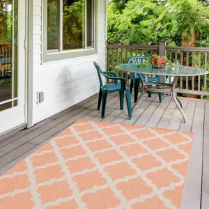 Ecology Collection Outdoor Rugs in Orange  400OR