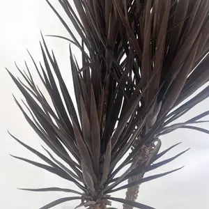 155cm Artificial XL Dark Triple Yukka Tree Plant Spiky Tree Plant Realistic