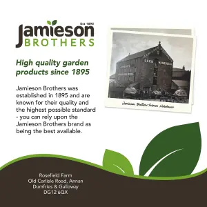 Peat Free Vegetable Compost with added John Innes 60L Professional Blend by Jamieson Brothers