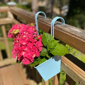 Duck Egg Blue Balcony Hanging Planters (Set of 2)