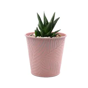 Metal Planters 2pc Pastel Pink 1.1L Embossed Leaf Plant Flower Decor Pots Garden