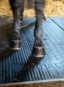 34mm Straight Horse Stable Floor Mat x 12