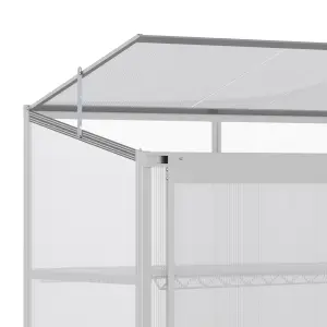 Outsunny 4x2ft 3-Tier Greenhouse Outdoor Plant Grow Aluminium Frame w/ Roof Door