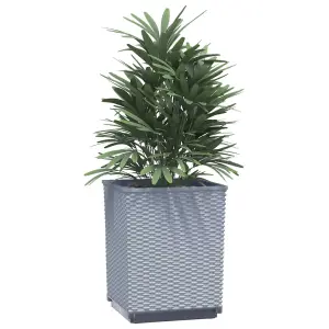 Berkfield Planters 2 pcs Light Grey 30x30x37 cm Polypropylene