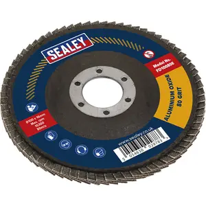 100mm Aluminium Oxide Flap Disc for Surface Preparation with 16mm Bore and 80 Grit