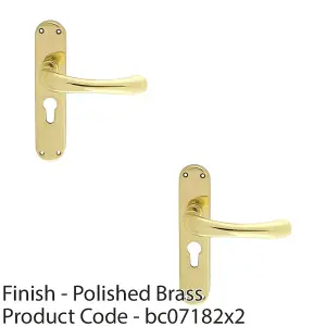 2 PACK - Rounded Smooth Latch & EURO Lock Door Handle - Polished Brass Lever on Backplate