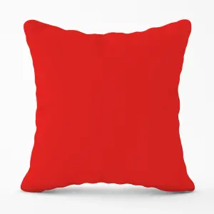 Fire Engine Red Cushions 60cm x 60cm