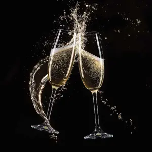 Premium 70x75cm 6mm Glass Champagne Flute Kitchen Splashback Toughened