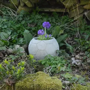 Stone cast Small Football Garden Pot