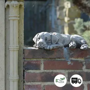 Adorable Sleeping Mongrel Dog Stone Cast Garden Ornament