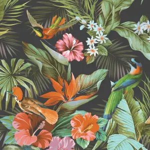 Vasari Paradise Birds Black/Multi Wallpaper