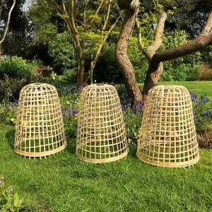 GardenSkill Bamboo Bell Cloche & Decorative Garden Plant Cover 40cm H, Pk of 3