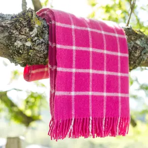 100% Pure New Wool Chequered Check Throw Blanket Made in Wales Pink