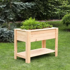 Dan Larch timber Shallow planter with self 800x400mm