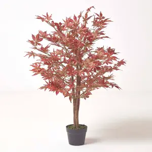 Homescapes Acer Tree in Pot, 90 cm Tall