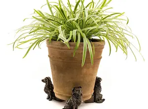 Border Collie Plant Pot Feet - Set of 3 - L7.5 x W7 x H9.5 cm