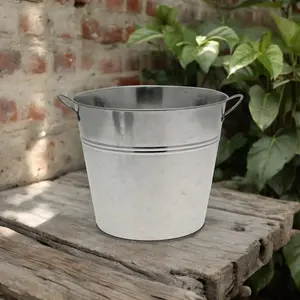 Galvanised Bucket Planter With Ear Handles - 22cm