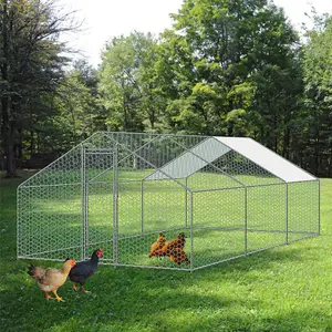 KCT Large Walk-In Chicken Run / Duck Pen - 6 x 3m  - Outdoor Garden Pet/Dog Enclosure Kennel Hen Coop - Galvanised