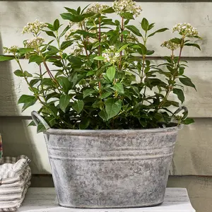 Vintage Grey Galvanised Trough Bucket Flower Pot with Handles Embossed Outdoor Garden Planter