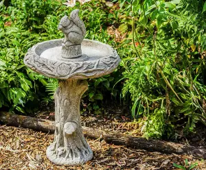 Stone cast Birdbath with Squirrel