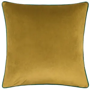 Paoletti Meridian Velvet Polyester Filled Cushion