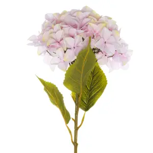 UK Homeliving Giant Pink Hydrangea