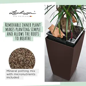 LECHUZA CUBICO Color 56cm Tall Planter, Slate Grey Self-watering Planter with Water Level Indicator H56 L30 W30 cm, 14L