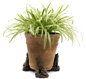 Howling Wolf Plant Pot Feet - Set of 3