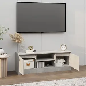 Berkfield TV Cabinet with Door Concrete Grey 102x30x36 cm