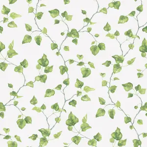 Galerie Just Kitchens Beige Just Ivy Wallpaper Roll