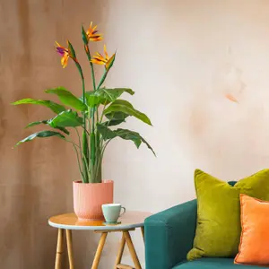 Blooming Artificial - 110cm Green / Orange Fake Bird of Paradise Flowering Plant