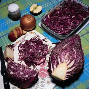 Cabbage Kalibos 1 Seed Packet (100 Seeds)