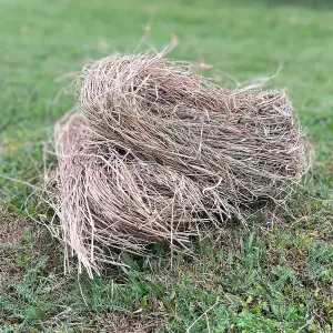 Hedgehog House Nesting Material