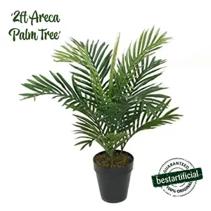 Best Artificial 2ft - 60cm Areca Palm Tree