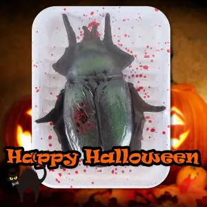 Halloween Insects Decoration Halloween Party, Trick or Treat 18.5cm Beetle