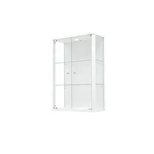 Francetta Wall Mounted Curio Cabinet with Lighting White