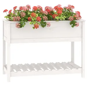 Berkfield Planter with Shelf White 111.5x54x81 cm Solid Wood Pine