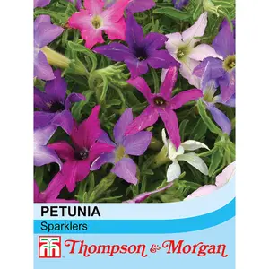 Petunia Spark-lers 1 Packet (30 Seeds)