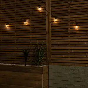 Set of 20 Indoor Outdoor Connectable Vintage Festoon Lights with Warm White LEDs