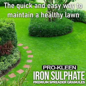 Pro-Kleen Iron Sulphate Spreader Granules Covers up to 664m2 For Grass Green Up Ferrous Sulphate Dry Granules