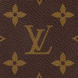 Louis Vuitton® - Speedy Bandoulière 20 Bag - Black - Monogram Canvas - Women - Luxury