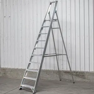 10 Step Industrial Platform Step Ladder