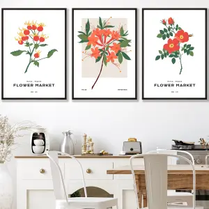 Set of 3 Framed Vintage Graphical Orange Flower Market / 50x70cm / Black