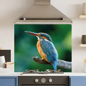 Premium 90cm x 75cm 6mm  Glass Blue Kingfisher Kitchen Splashback Various Sizes Toughened - 90 cm